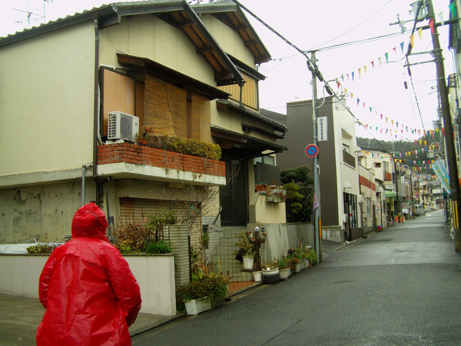 IMAG0460.JPG