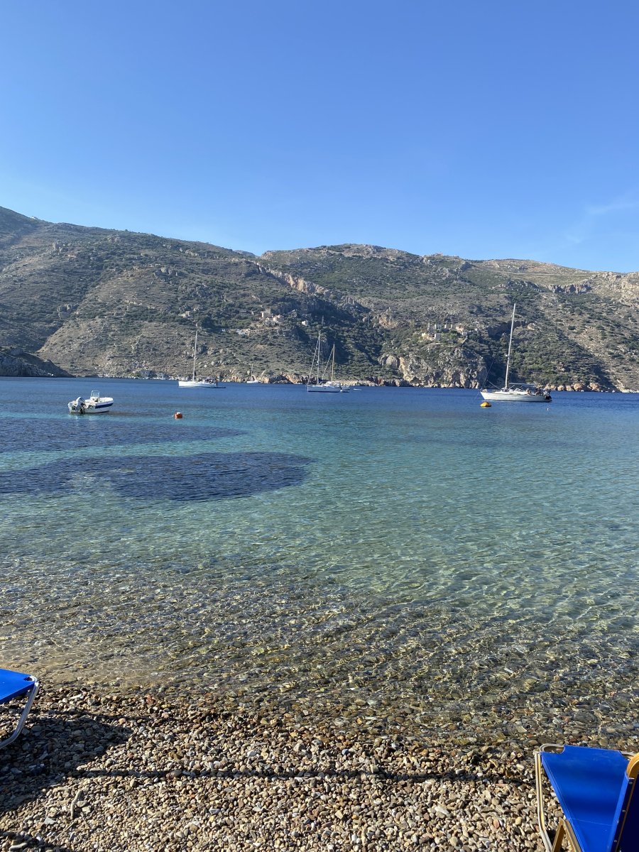 IMG_1206.jpeg
