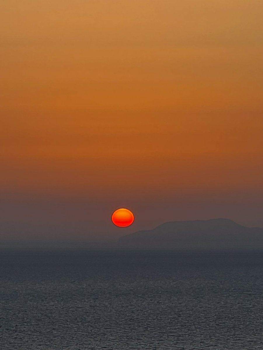 IMG_9865.jpg