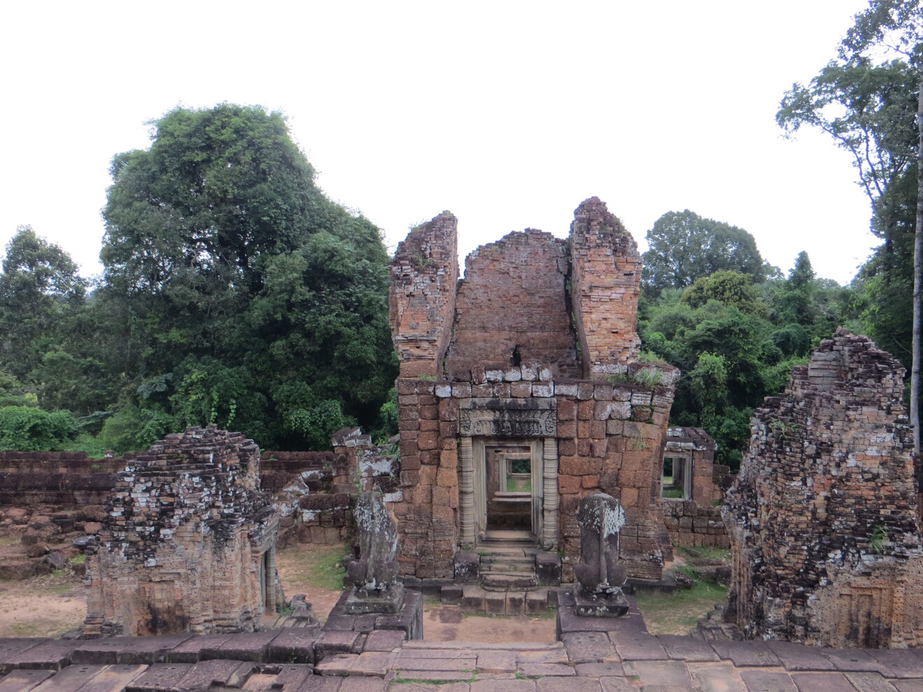1170.jpg