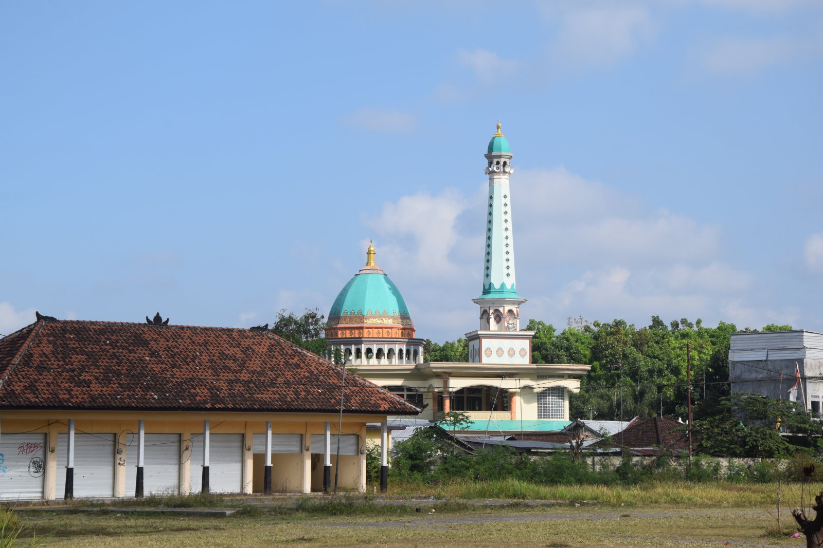 DSC_0799.JPG