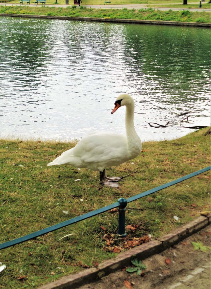 Düsseldorf - Hofgarten 06.JPG