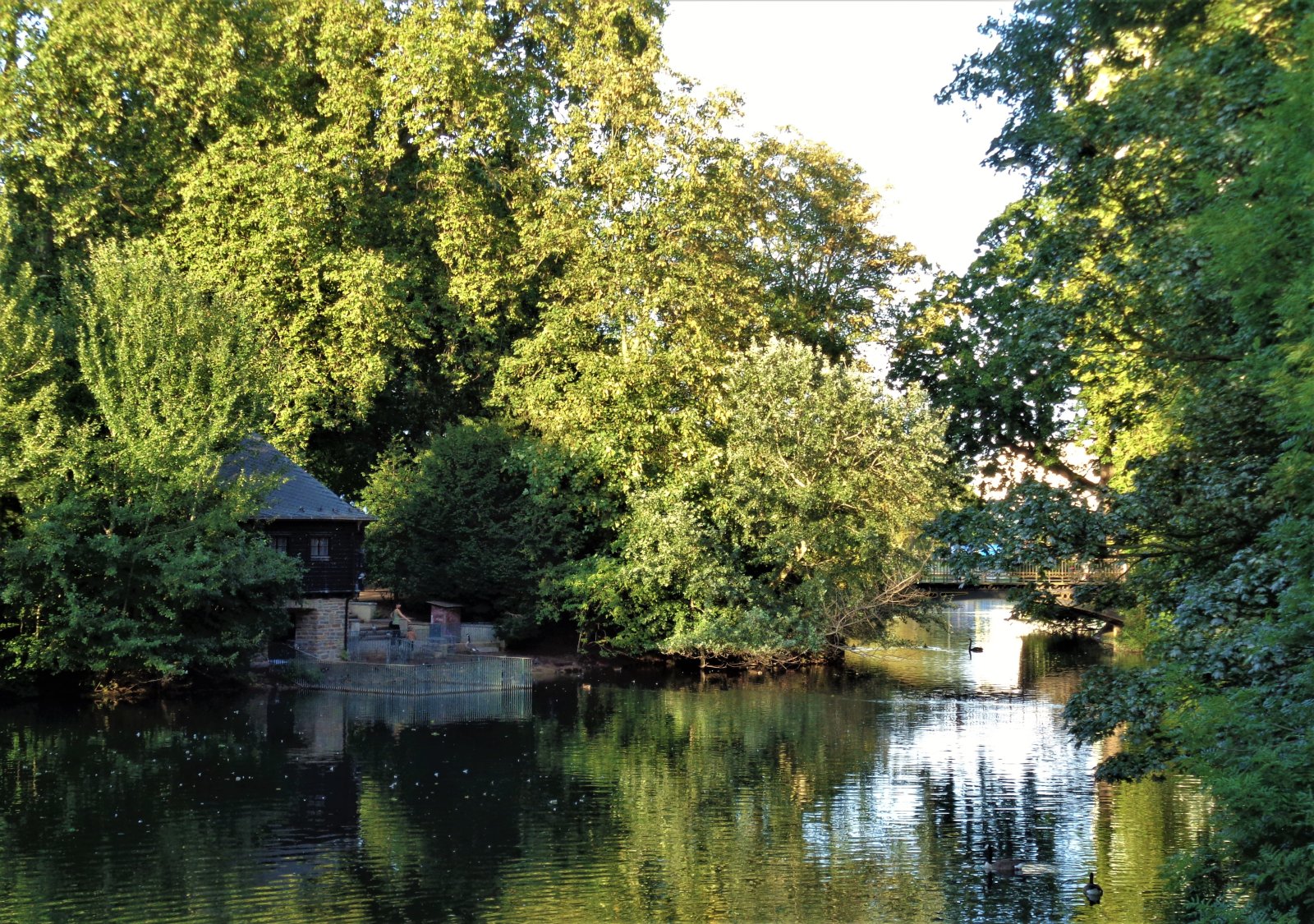 Düsseldorf - Hofgarten 16.JPG