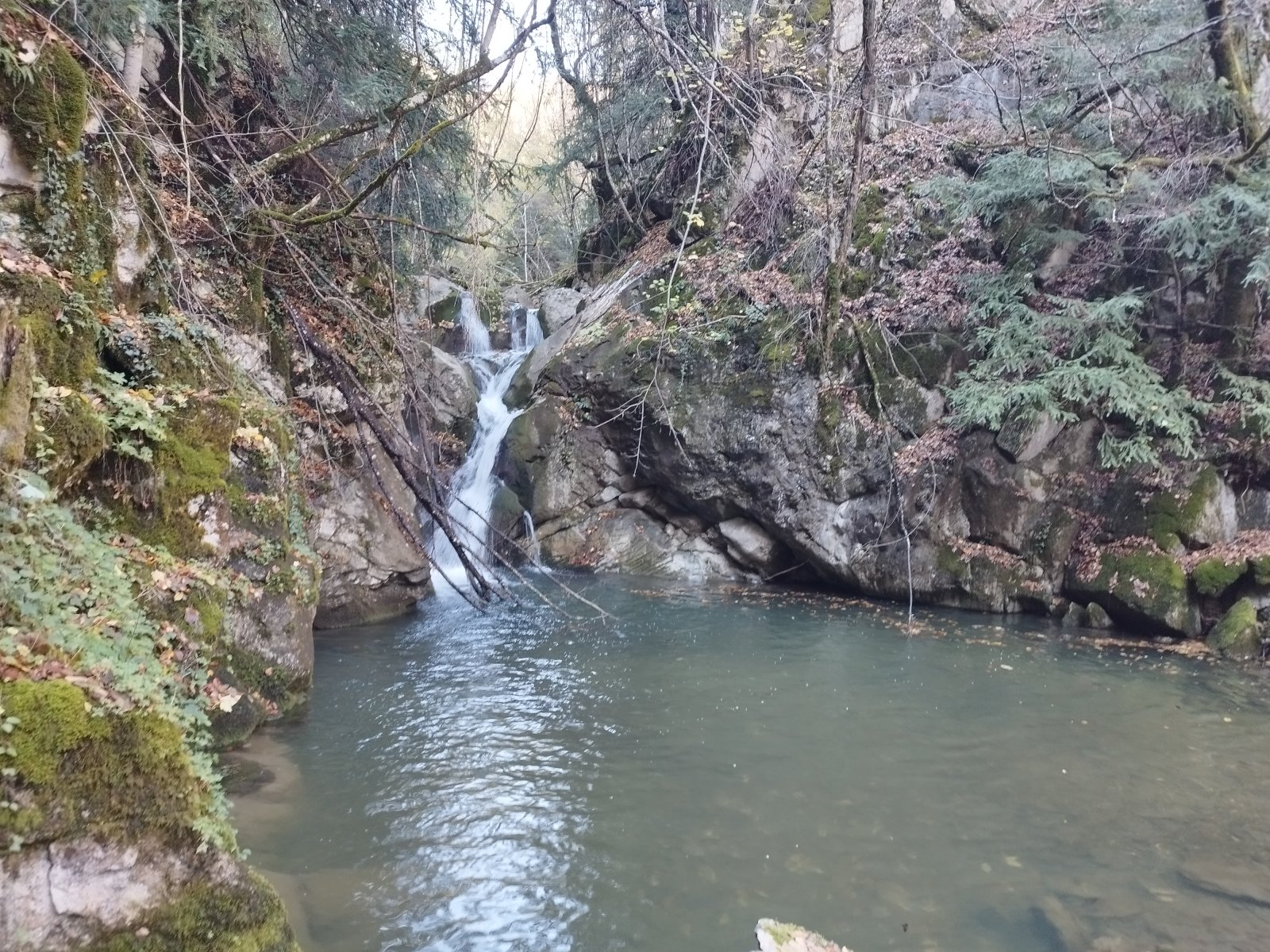 IMG_20231118_121746.jpg