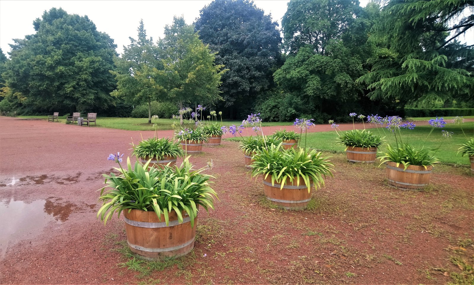 Düsseldorf - Nordpark 15.JPG