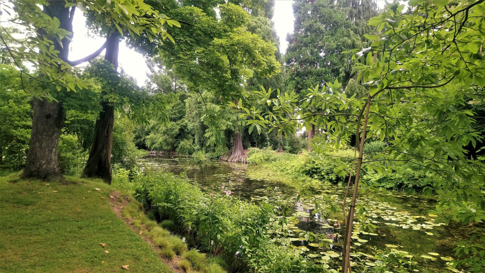 Bonn - Botanical Garden 20.JPG