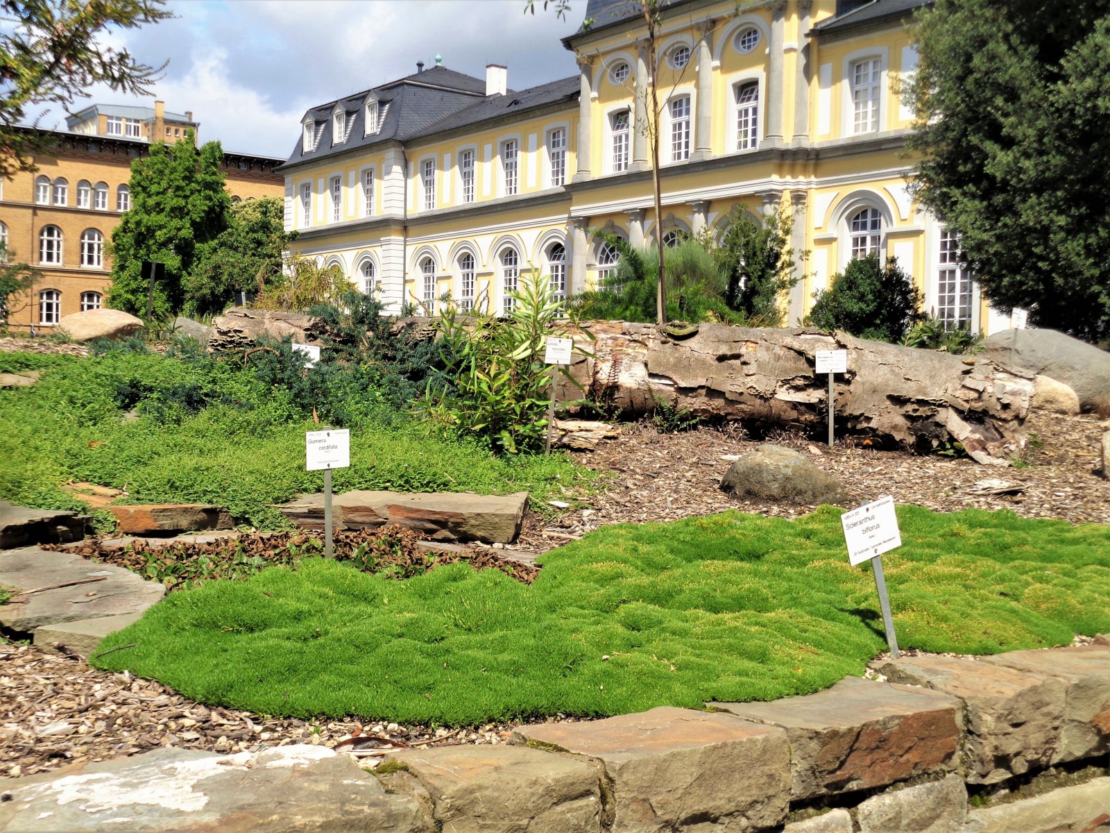 Bonn - Botanical Garden 36.JPG