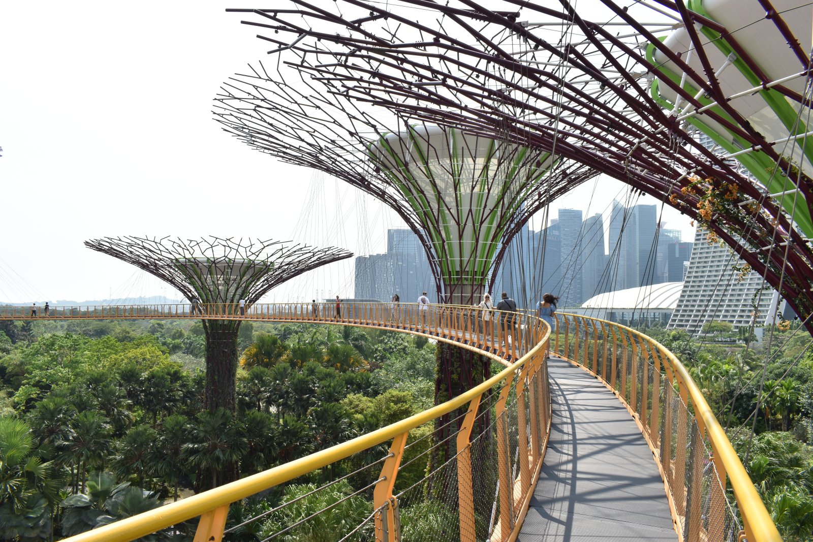 22. Supertree Skyway 2.JPG