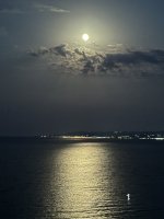 IMG_2603.jpeg