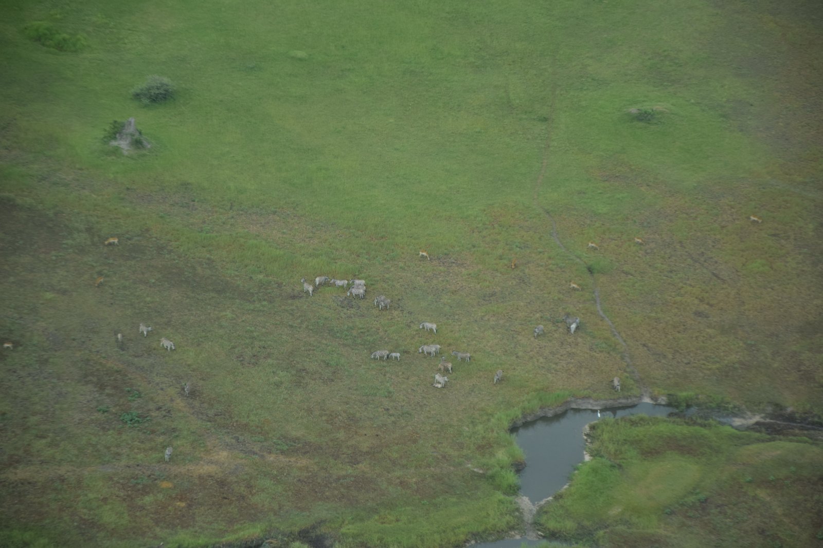 DSC_0055.JPG