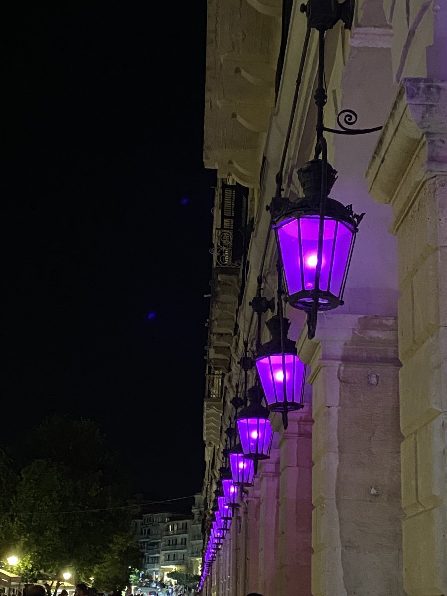 IMG_3902.jpeg