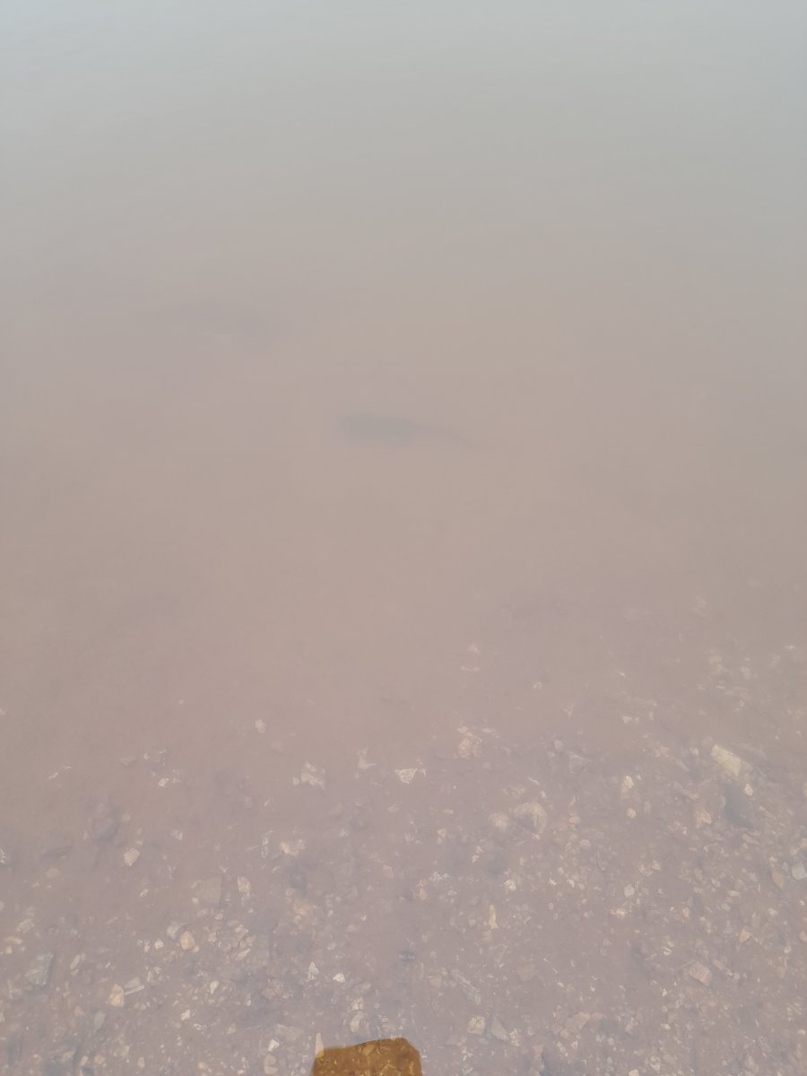 20240504_112536.jpg