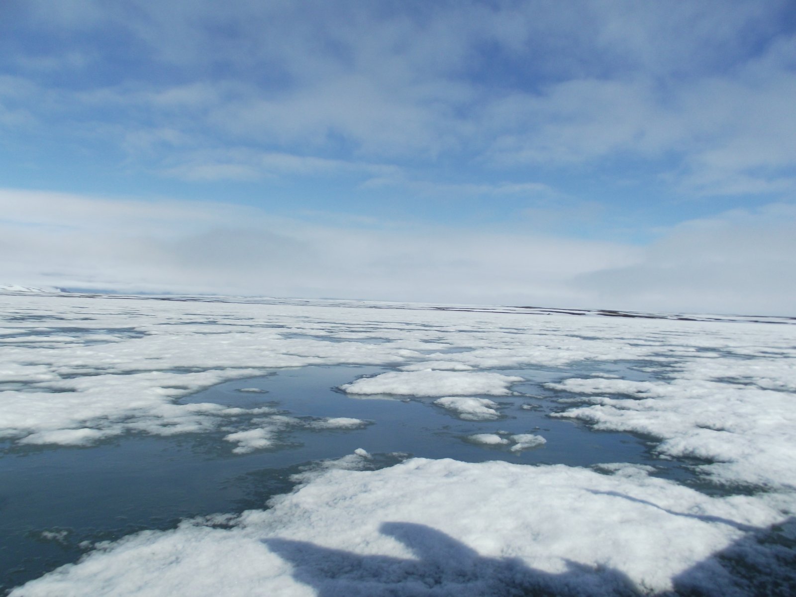 DSCF1900.JPG