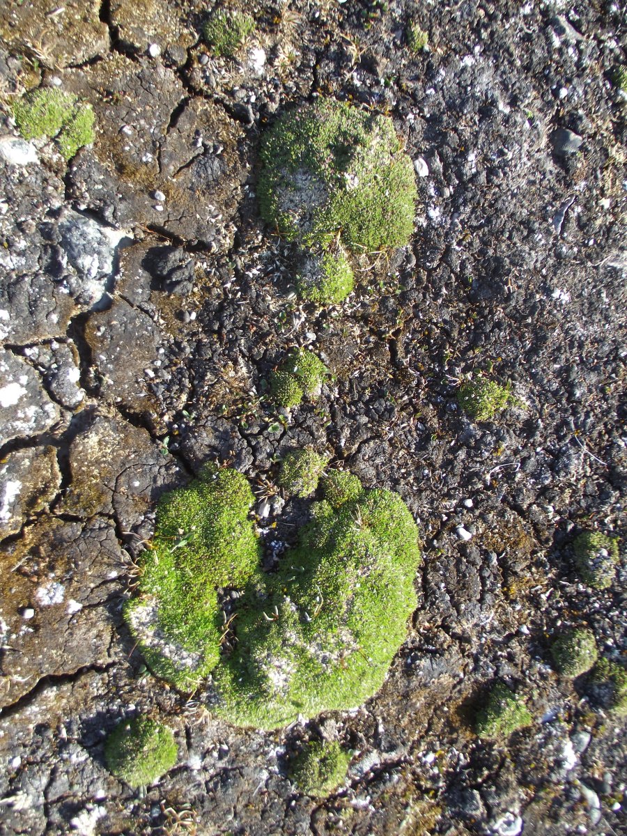DSCF1969.JPG