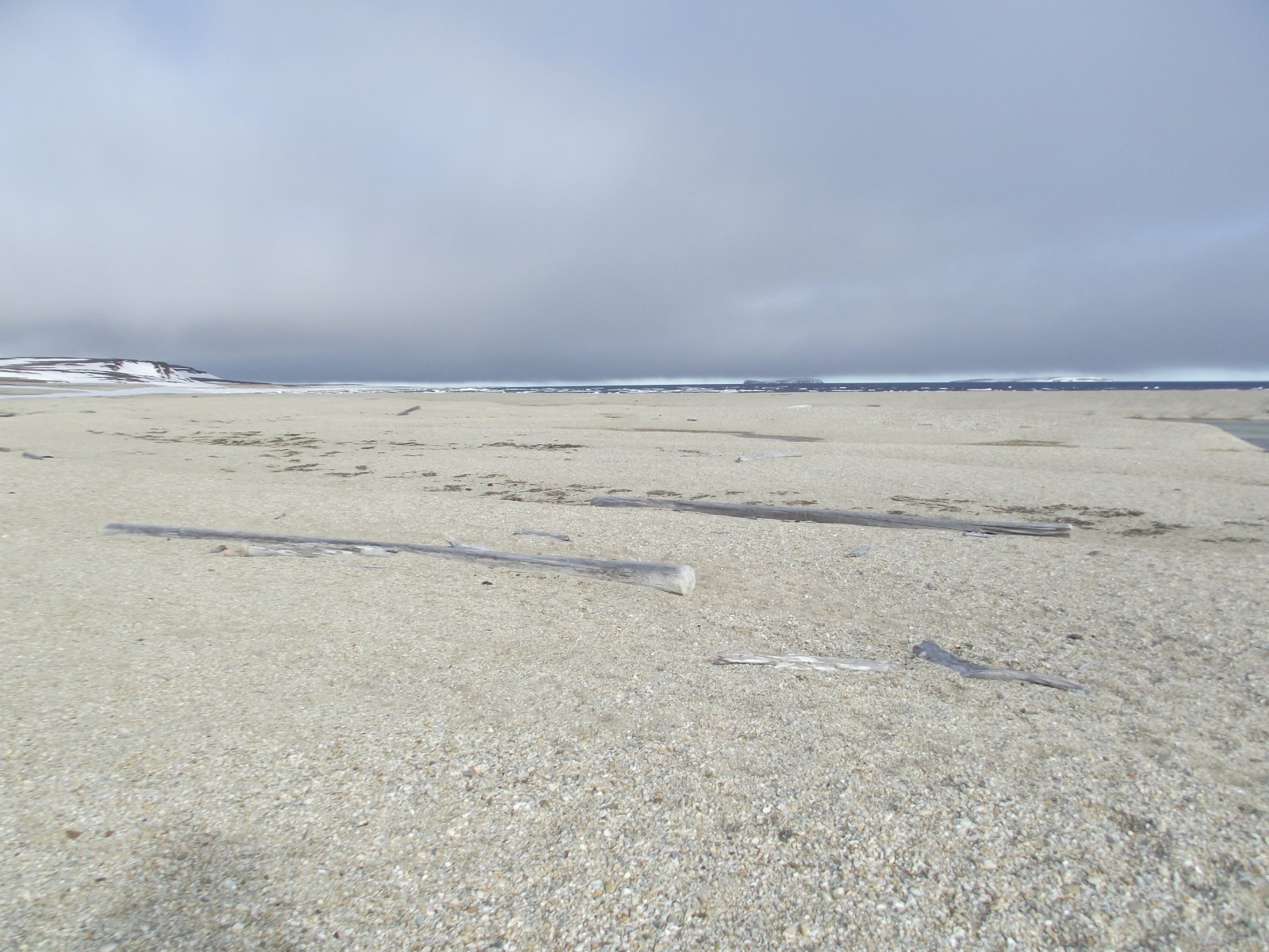 DSCF2245.JPG