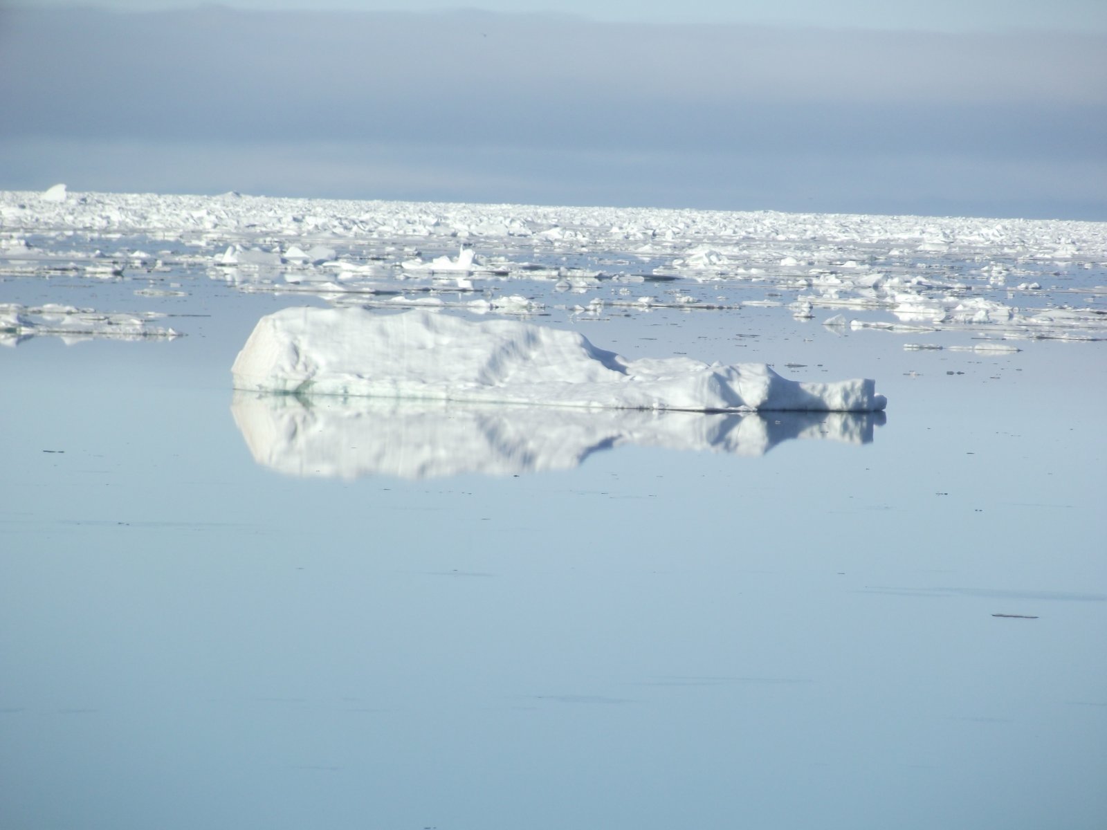 DSCF2309.JPG