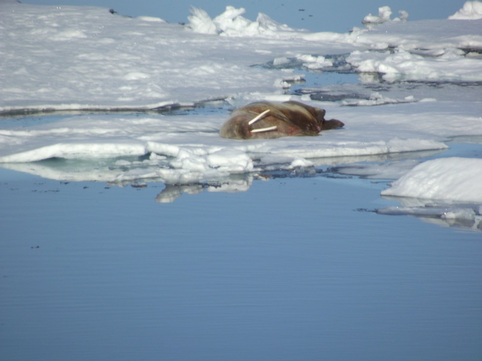 DSCF2320.JPG