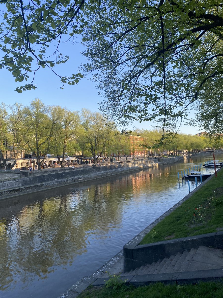 IMG_8493.jpeg