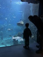 IMG_0499.jpeg