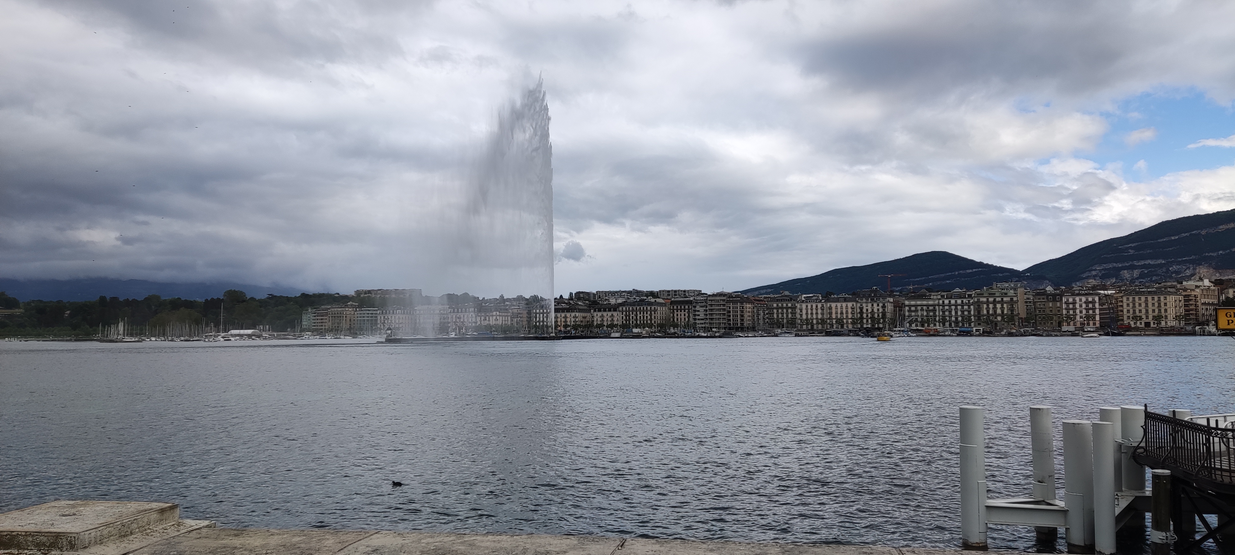 IMG_20240530_155552.jpg