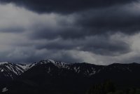 IMG_4342.jpg