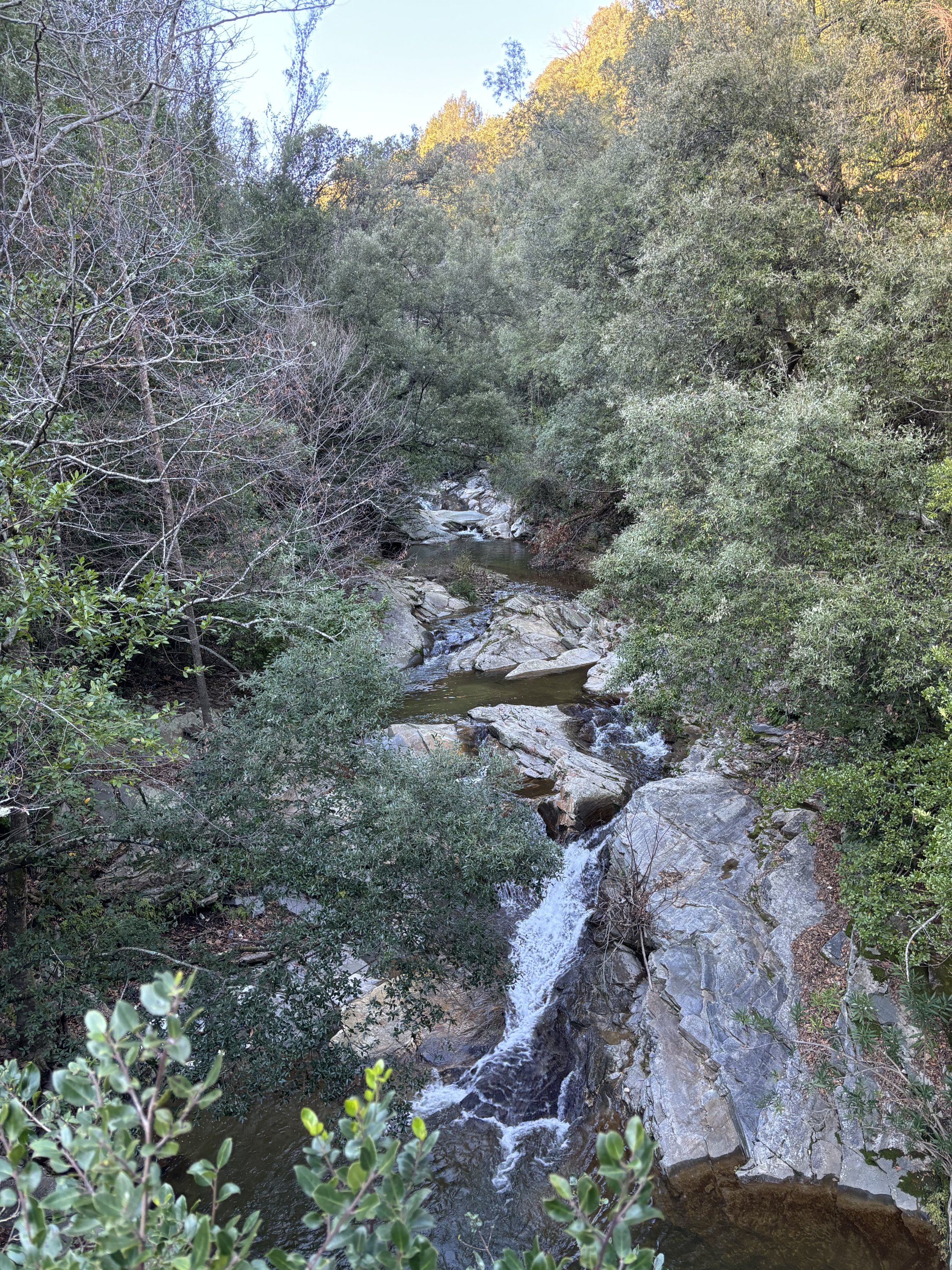 IMG_3816.jpeg