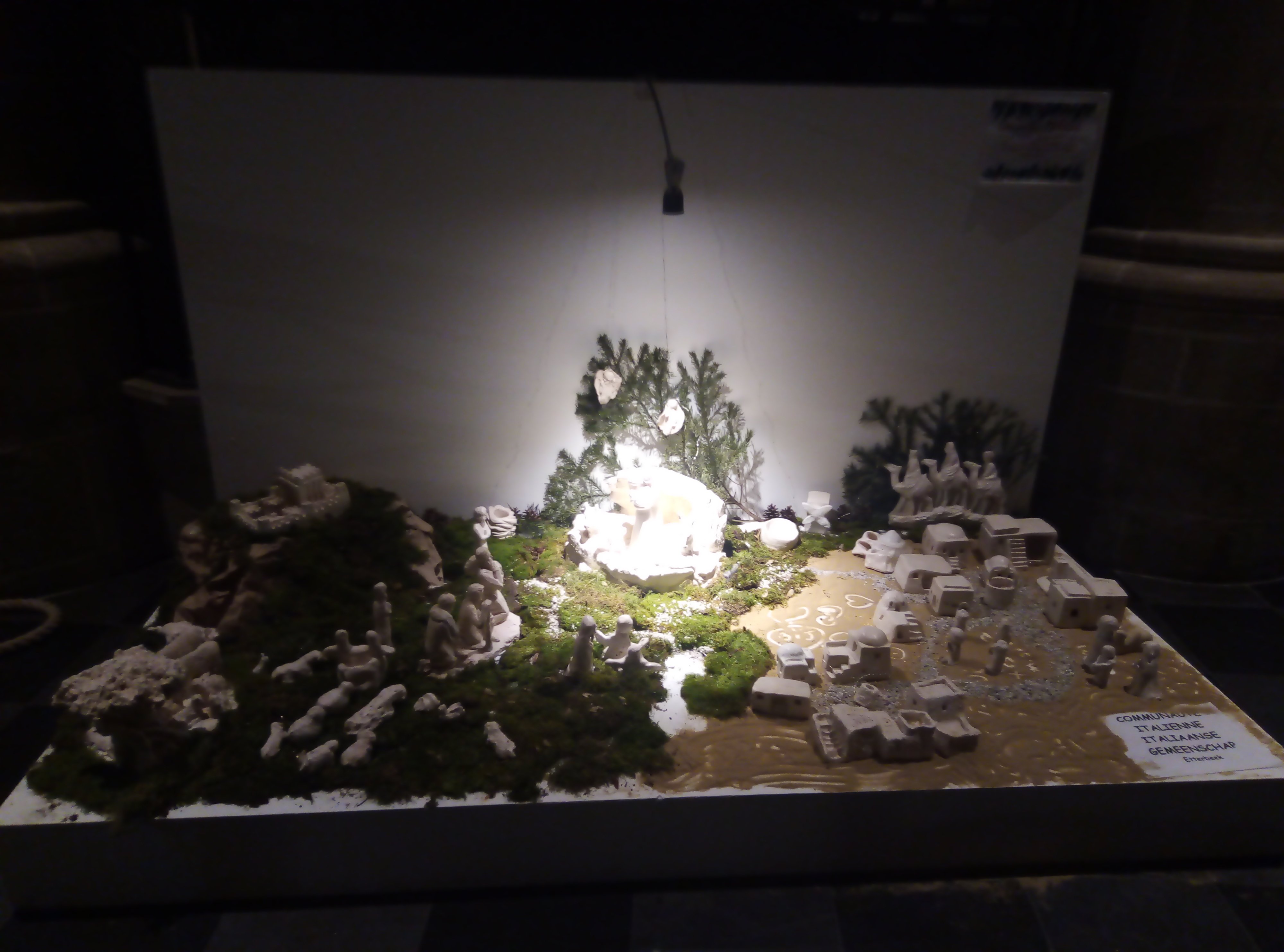 IMG_20240104_173312.jpg