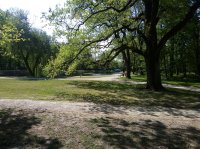 IMG_20220429_102845.jpg