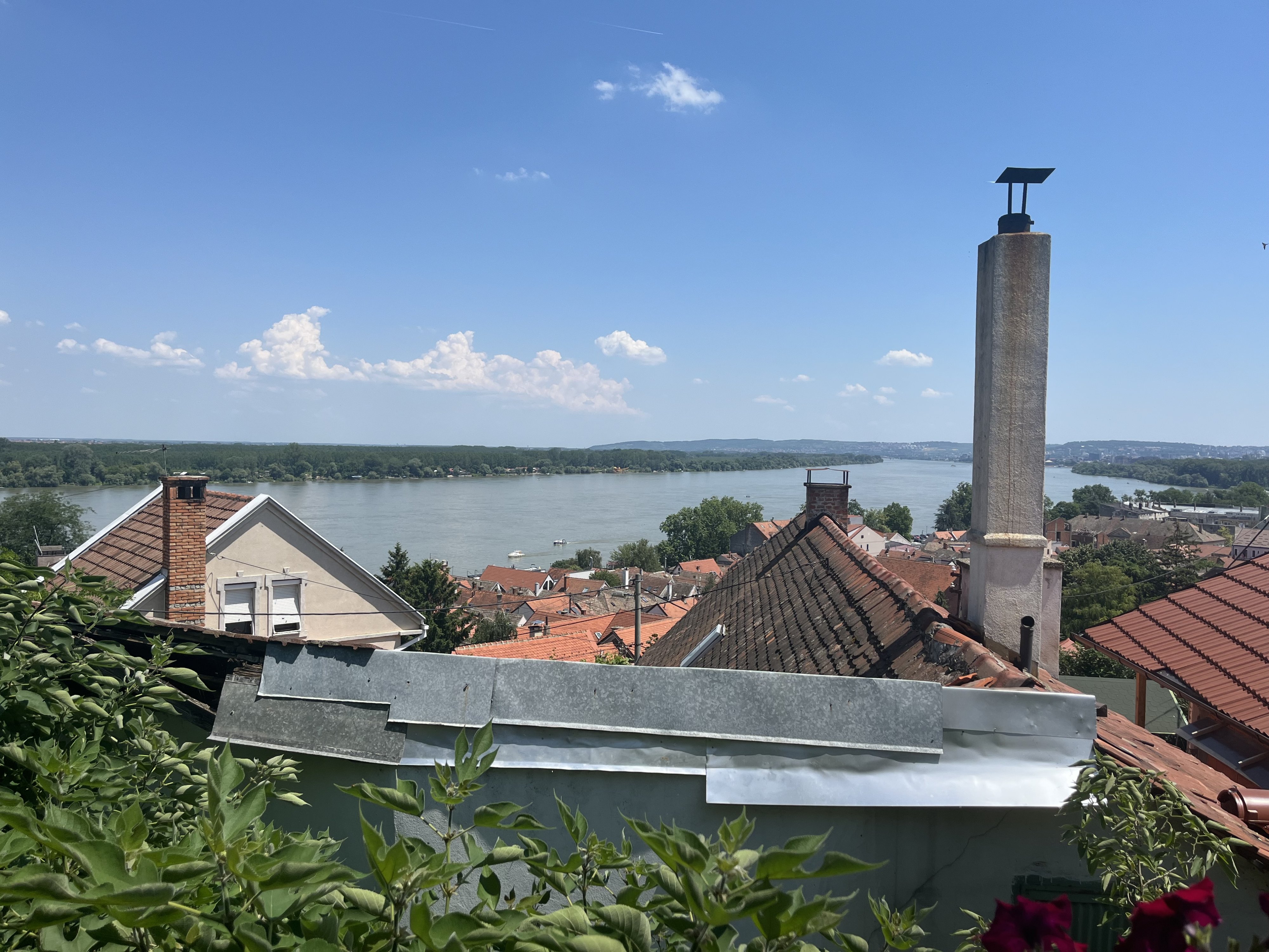 IMG_2774.jpeg