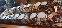 IMG_20220923_123853.jpg