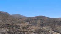 IMG_20240618_142329.jpg