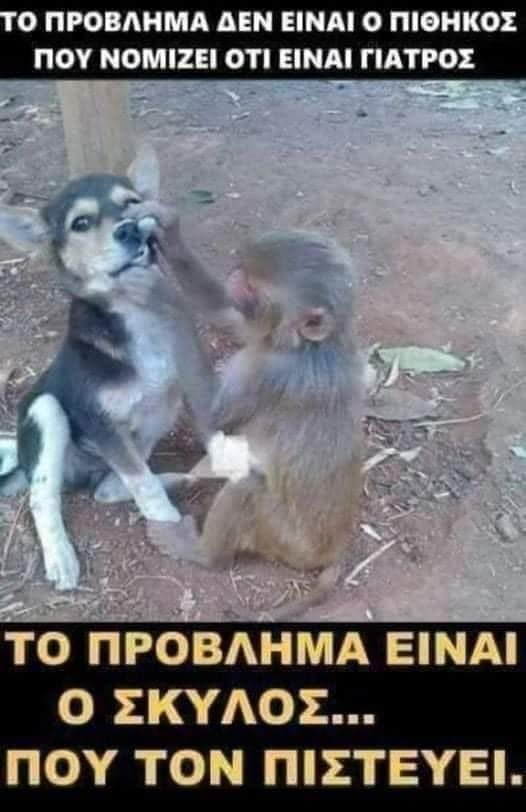 ο γιατρός.jpg