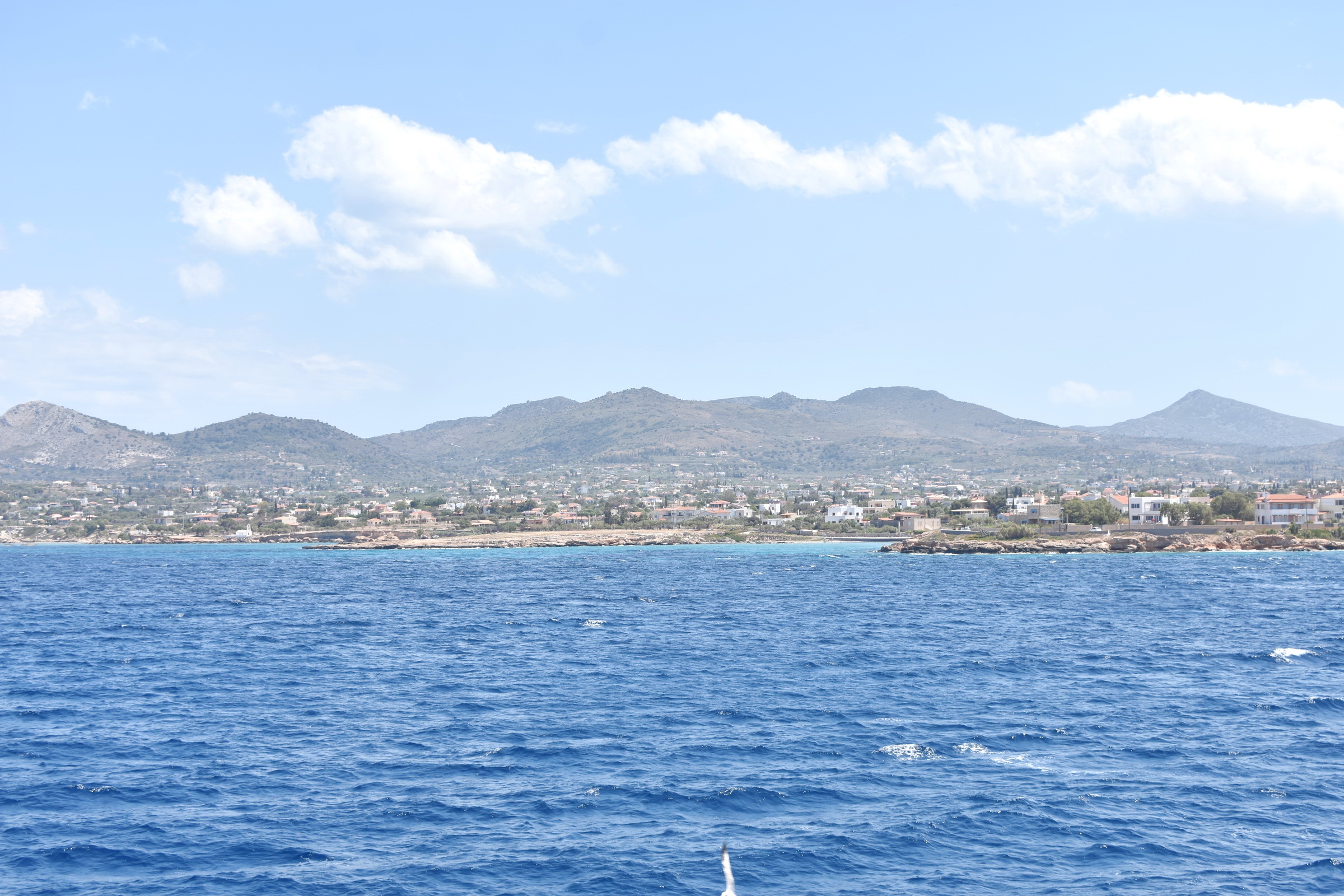 DSC_0050.JPG