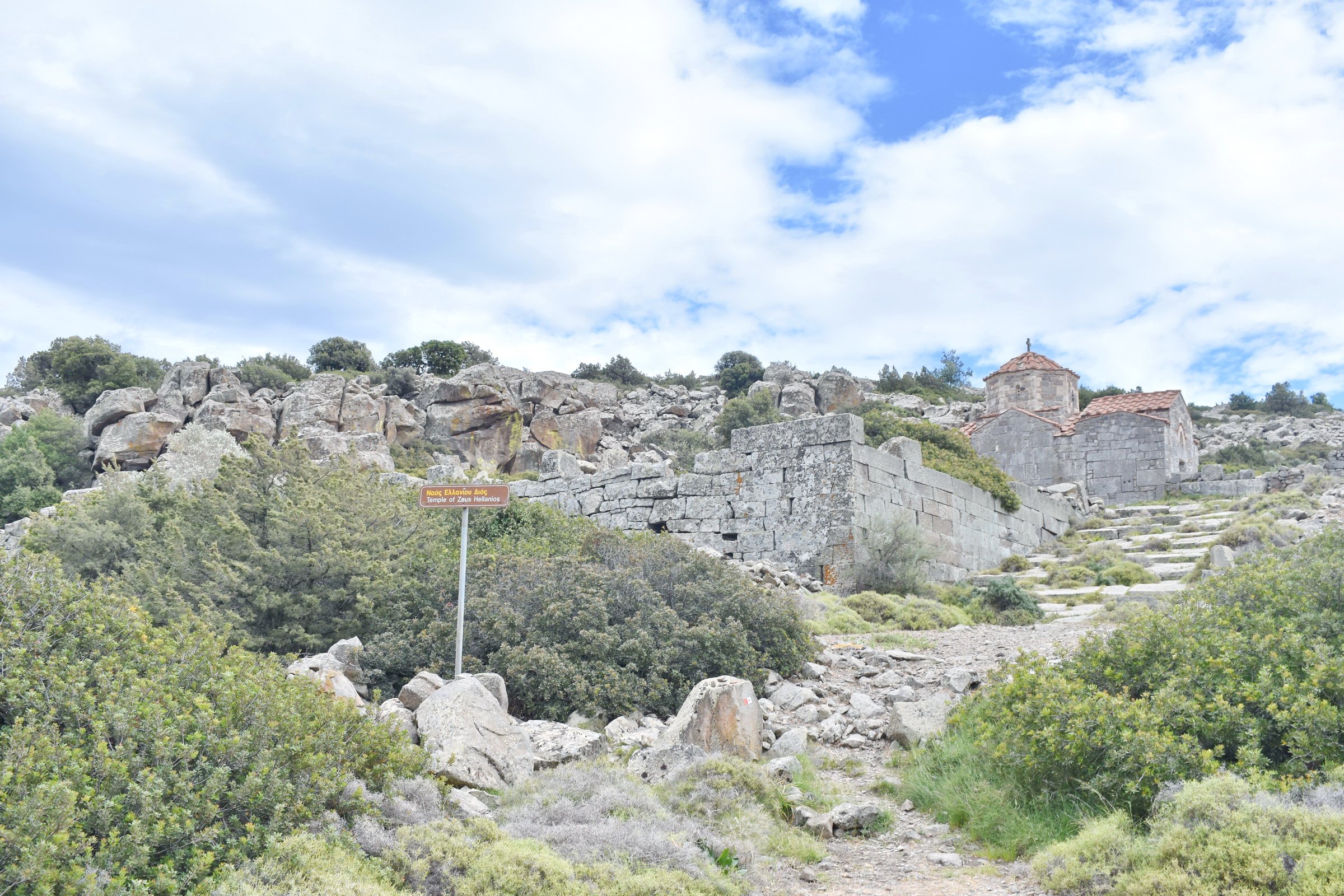 DSC_0127.JPG