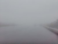 IMG_20151101_083559.jpg
