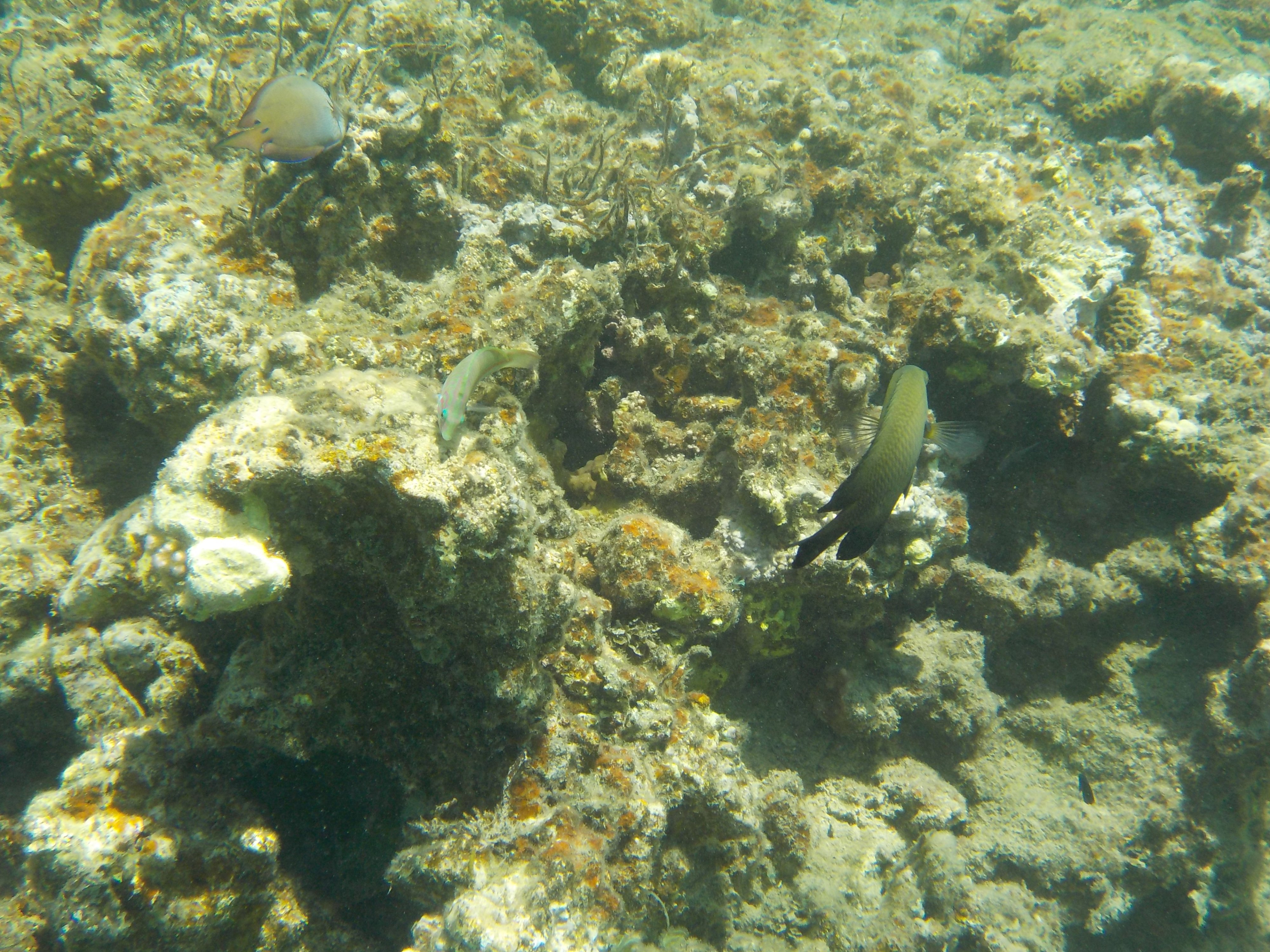 DSCN2543.JPG