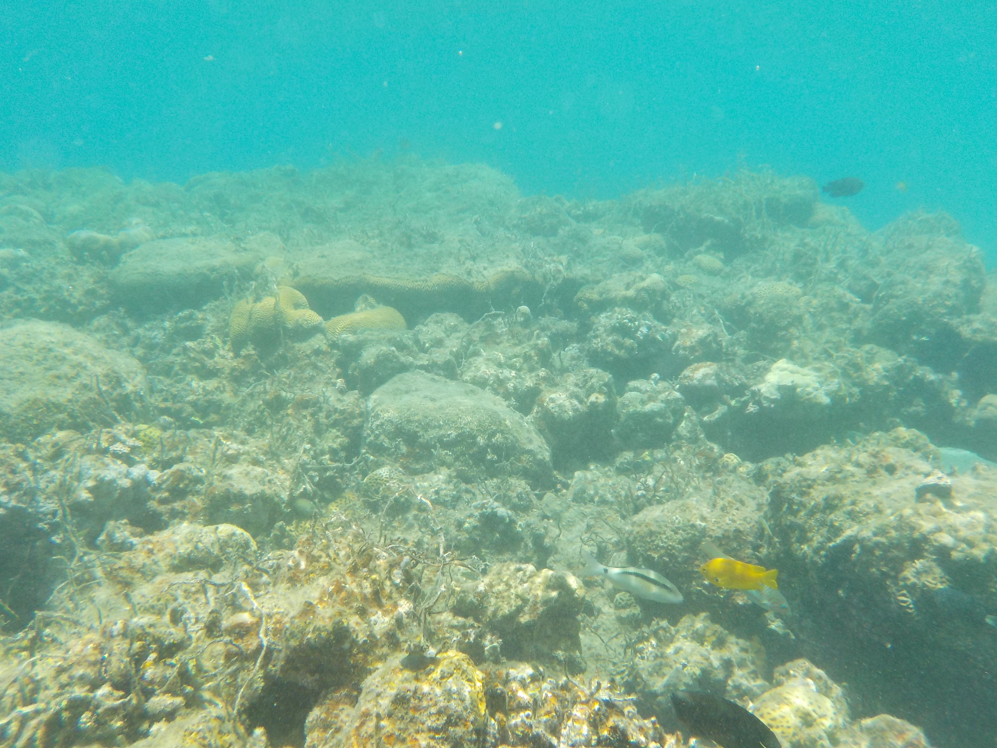 DSCN2598.JPG