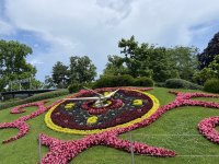 IMG_1616.jpeg