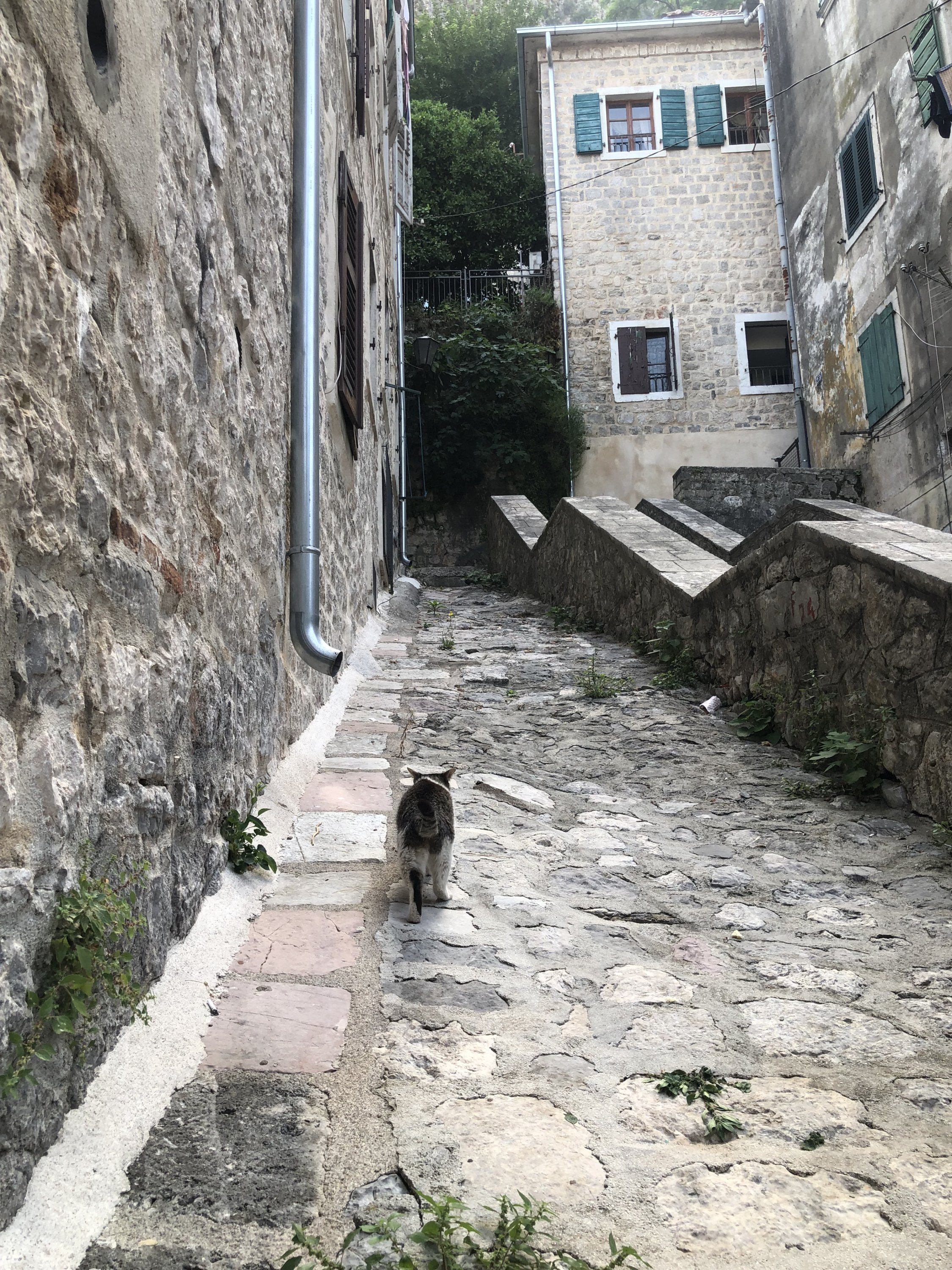 IMG_0063.jpeg
