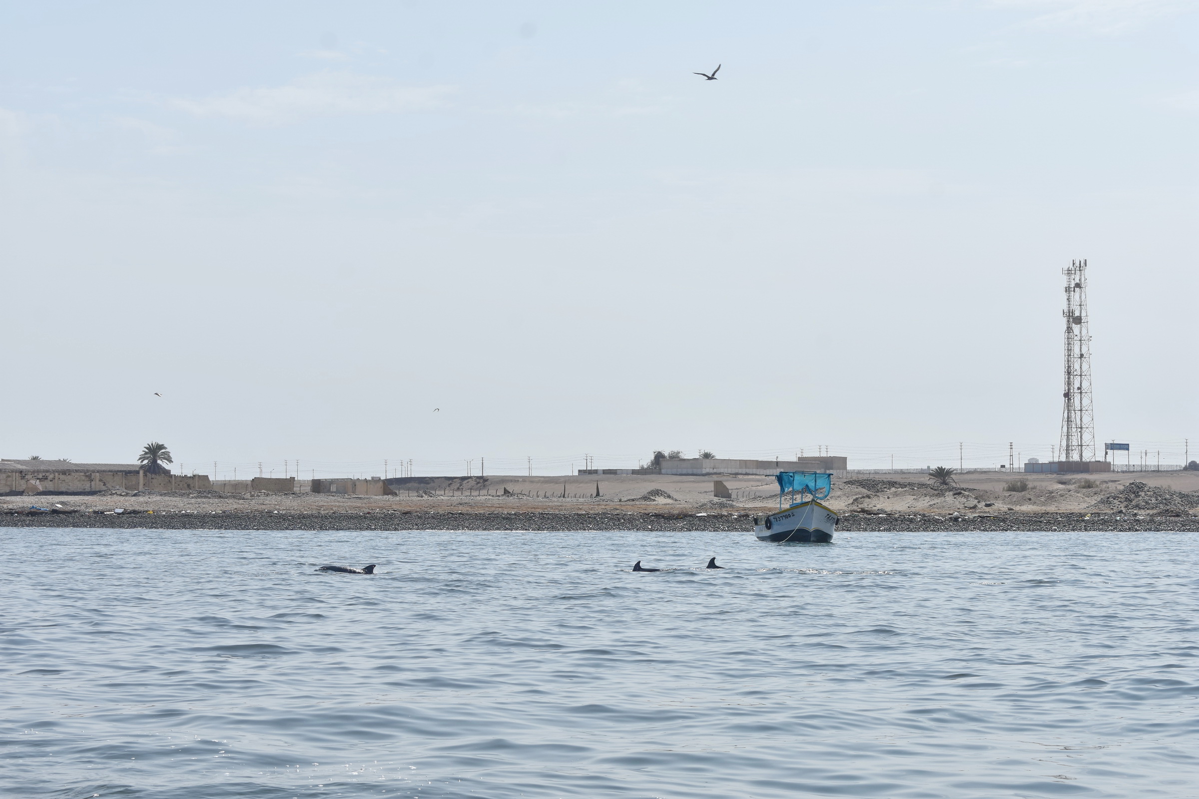 DSC_0001 (74).JPG