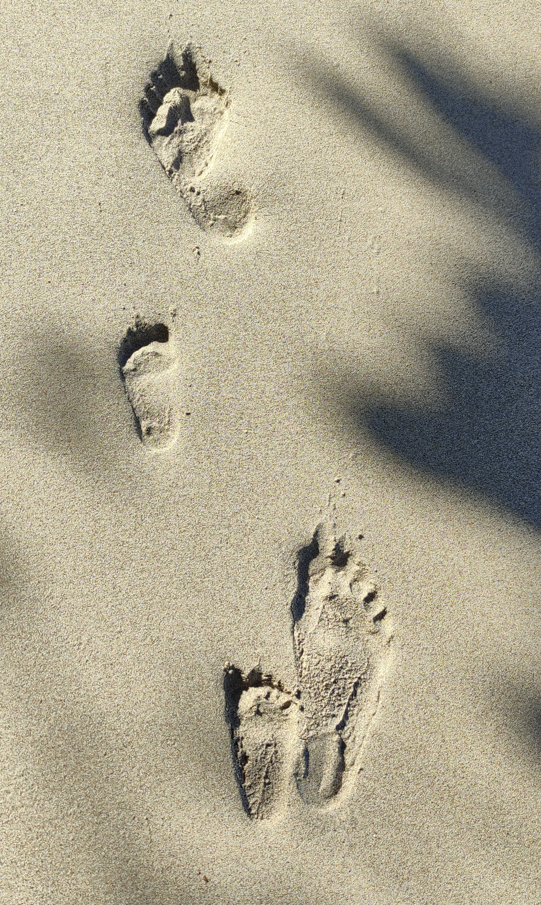 1676451656027.jpg