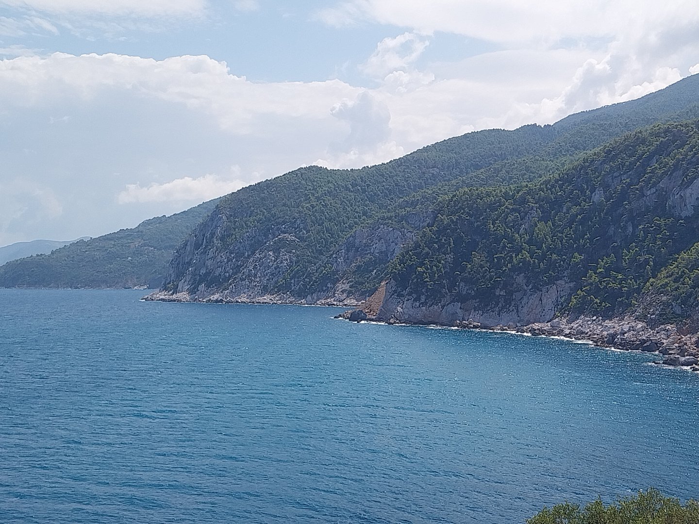 20240901_125556.jpg