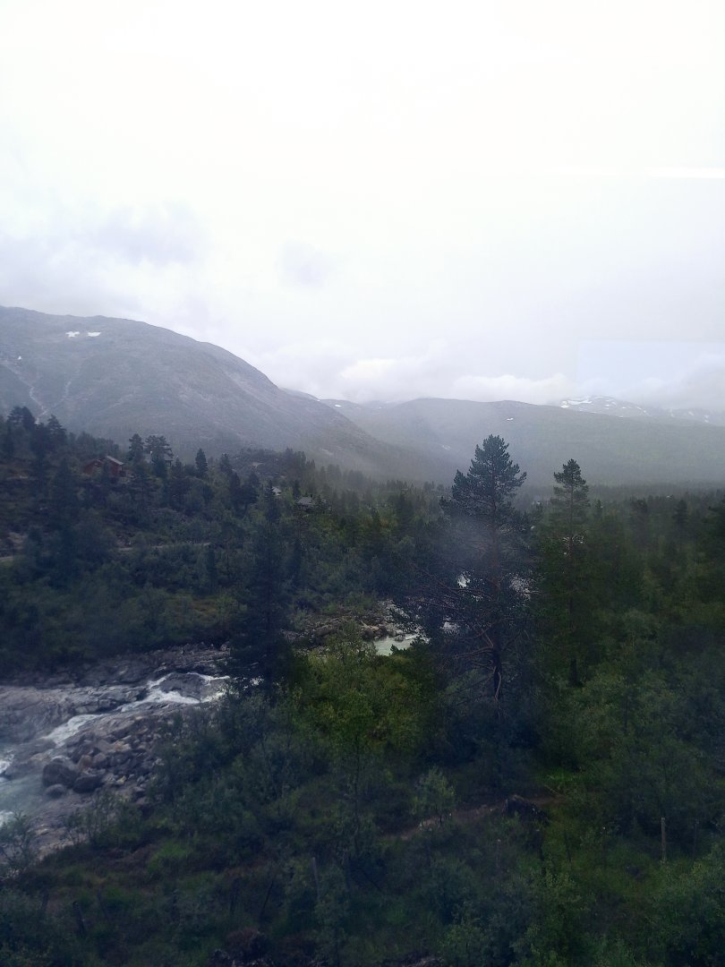 20240815_125118.jpg