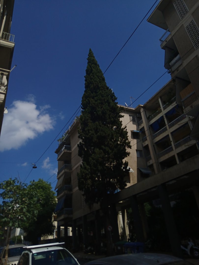 20240908_143623.jpg