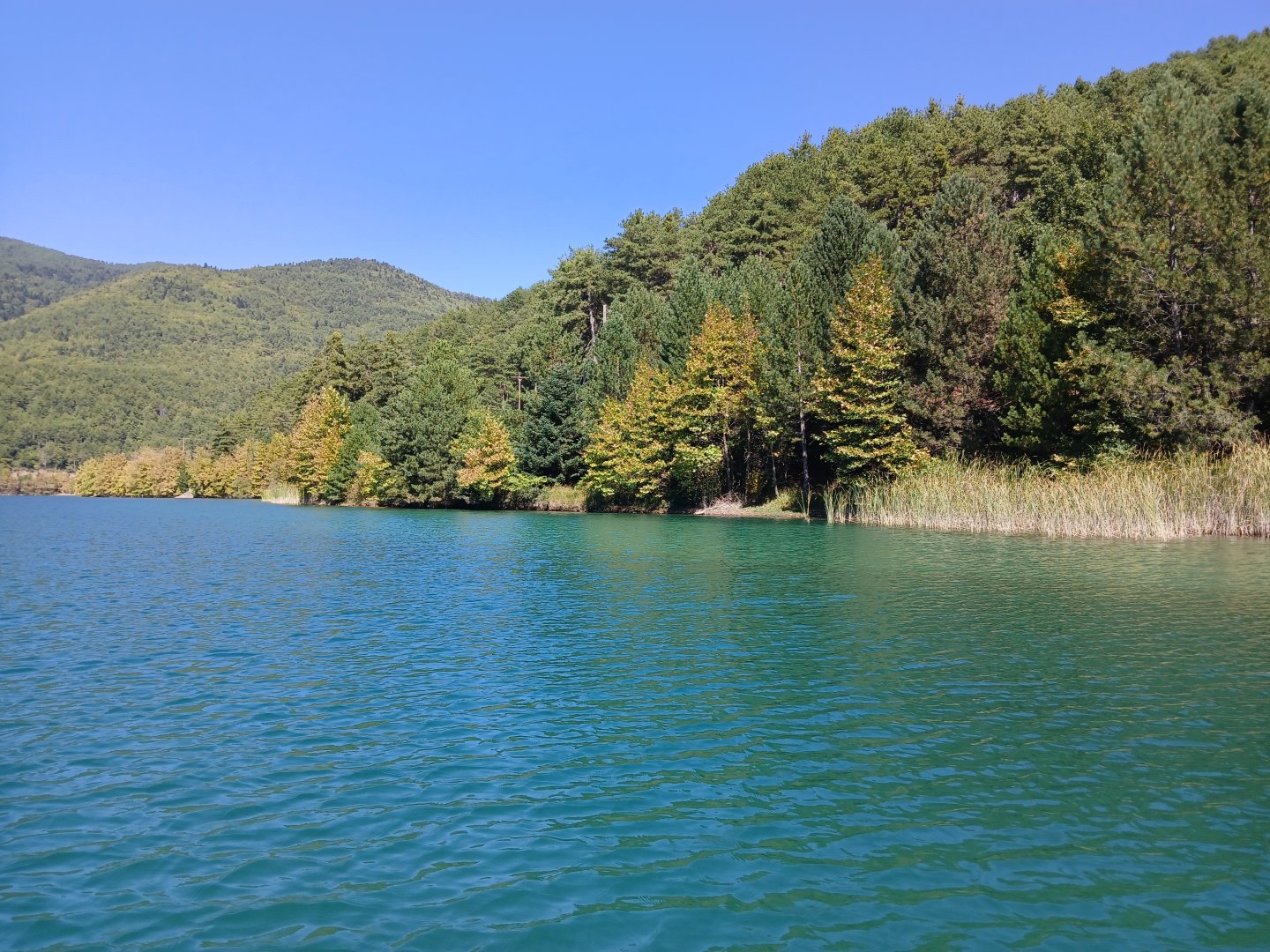 20240928_132653.jpg