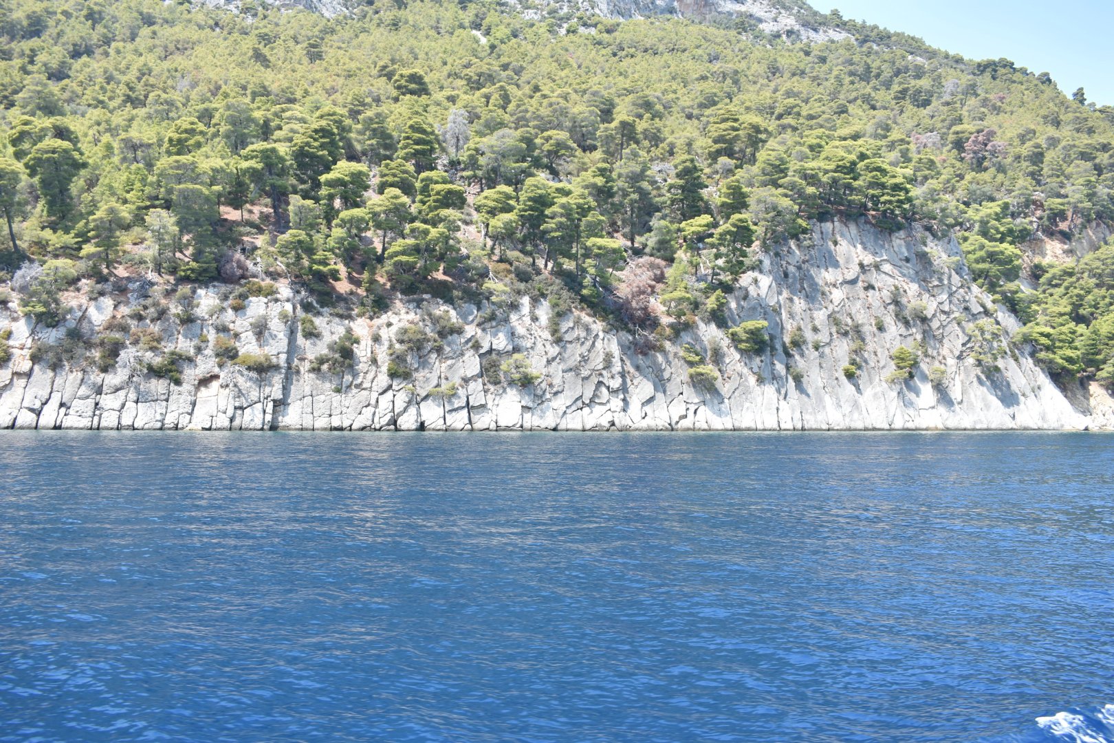 DSC_0662.JPG