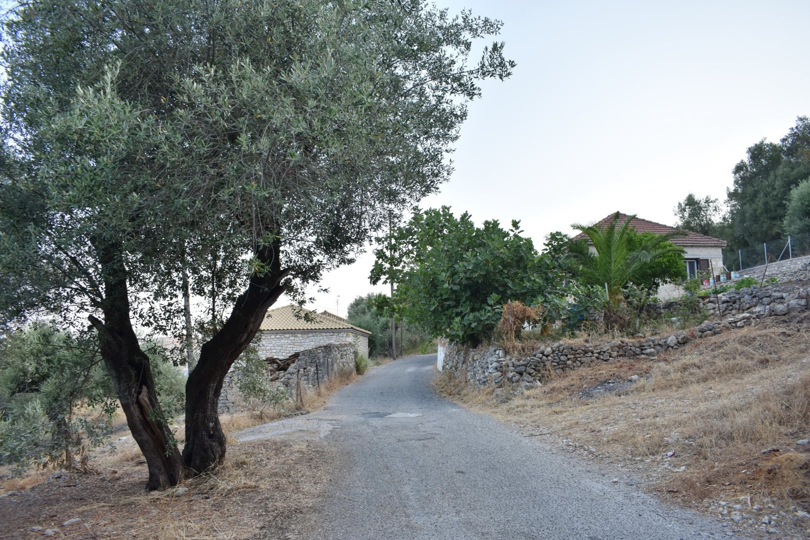 DSC_0692.JPG