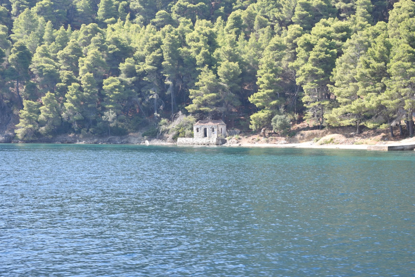 DSC_0929.JPG