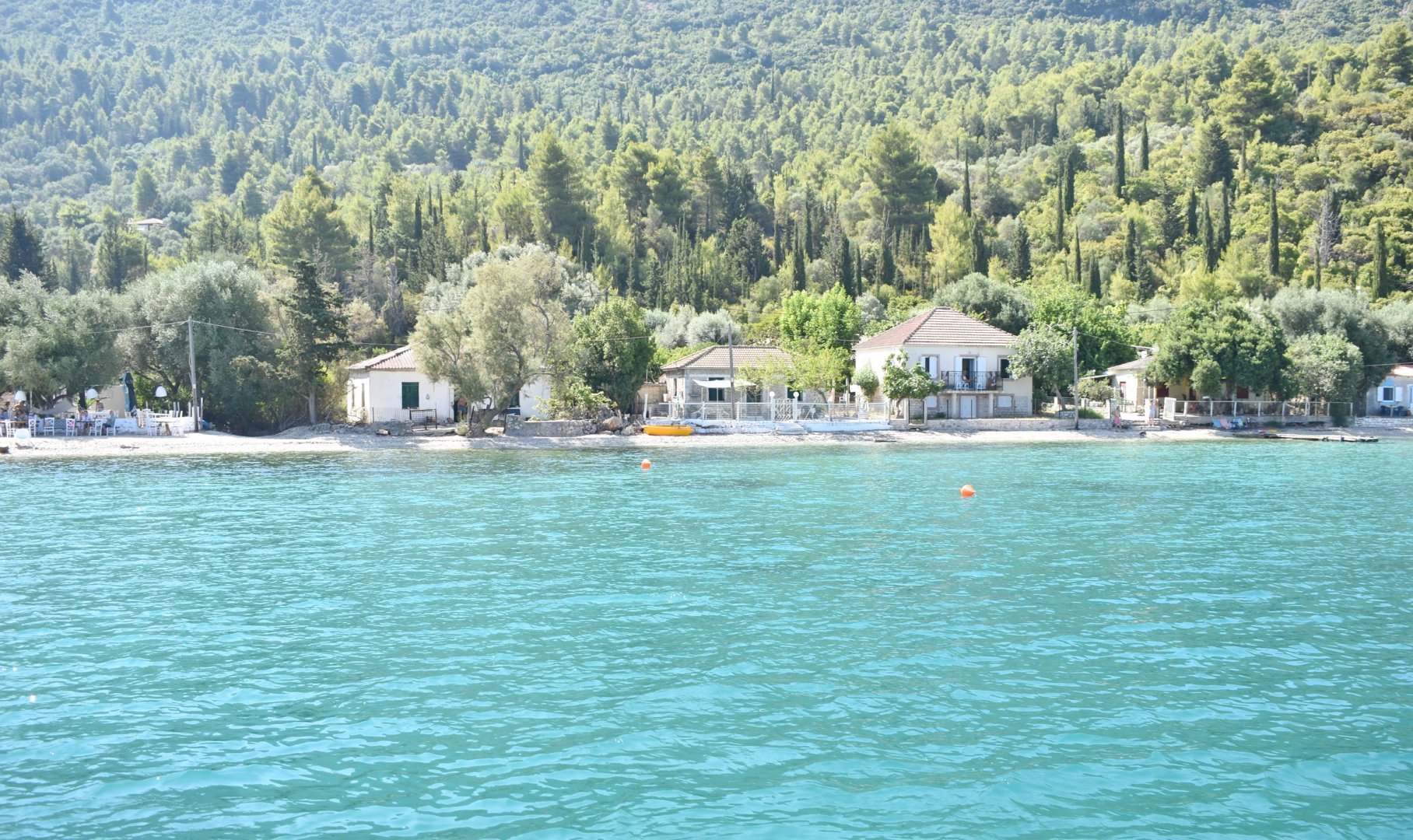 DSC_0936.JPG