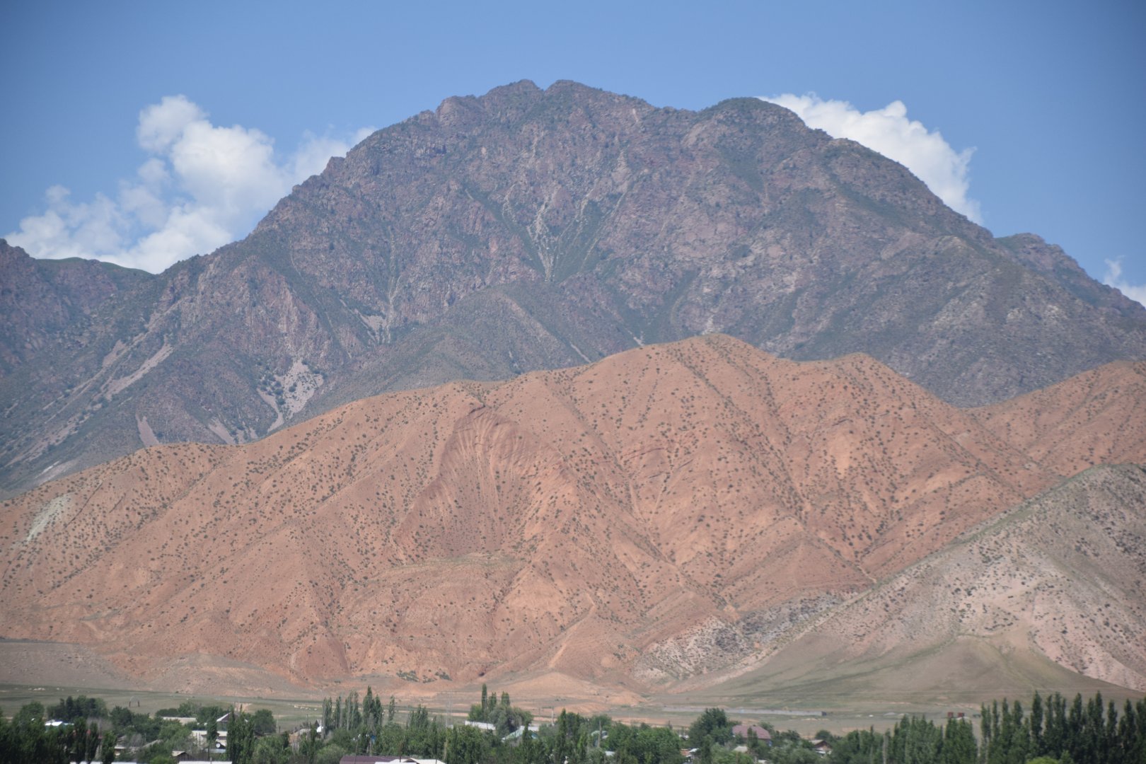 DSC_0746.JPG